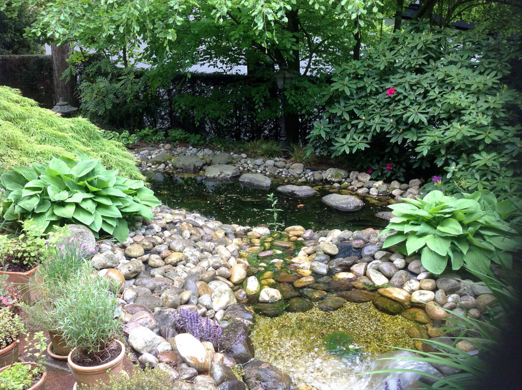 Neu- & Umgestaltung - Clever Gartenbau - Zaunbau